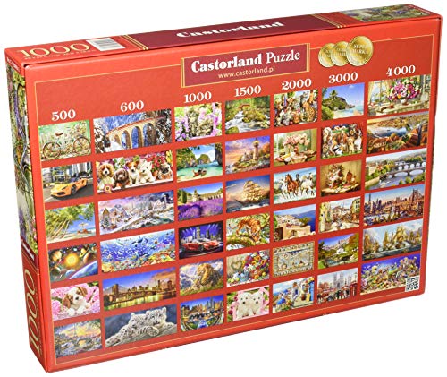 Castorland Jigsaw 1000 Pc Il Fiore Mart Multicolore 5904438103898 0 0