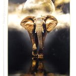 Clementoni The Elephant Puzzle 1000 Pezzi Multicolore 39416 0 1