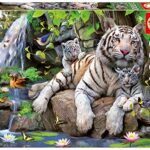 Educa 14808 Puzzles Tigri Bianche Del Bengala Puzzle Per Adulti 1000 Pezzi Rif Colore Vario 0
