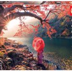 Educa Leva Di Sole Sul Fiume Katsura Giappone 18455 0