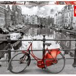 Educa Serie Coloured Bw Amsterdam Puzzle Bianco E Nero Per Adulti 1000 Pezzi Rif 14846 0
