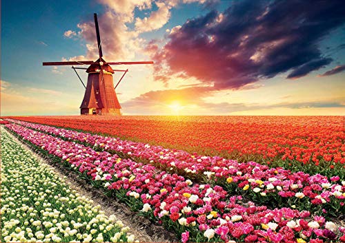 Educa Tulpen Landschaft 1500 Teile Puzzle 0 0