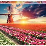 Educa Tulpen Landschaft 1500 Teile Puzzle 0
