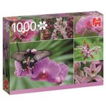 Jumbo 618354 Puzzle Orchidee 0