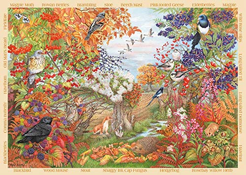Jumbo Falcon De Luxe Autumn Hedgerow 500 Piece Jigsaw Puzzle Pezzi Multicolore J12270 0 1