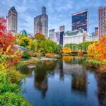 Lais Puzzle Central Park New York In Autunno 1000 Pezzi 0 0