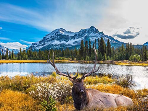 Puzzle 1000 Pezzi Ulmer Puzzleschmiede - Cervi Nel Paesaggio Invernale, Made In Germany, 68x48 Cm