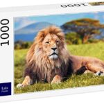 Lais Puzzle Grande Leone Disteso Sullerba Della Savana Kenya Africa 1000 Pezzi 0