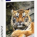 Lais Puzzle Tiger 1000 Pezzi 0