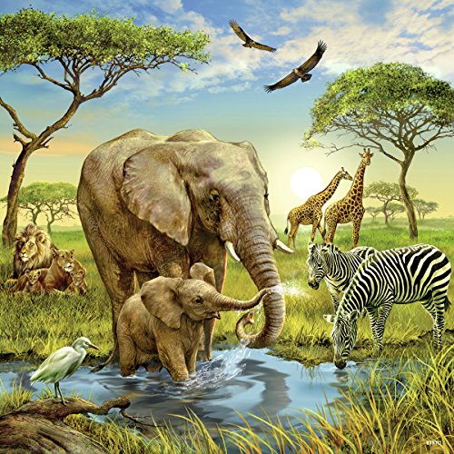 Ravensburger 09330 Animali Del Mondo Puzzle 3 X 49 Pezzi 0 2