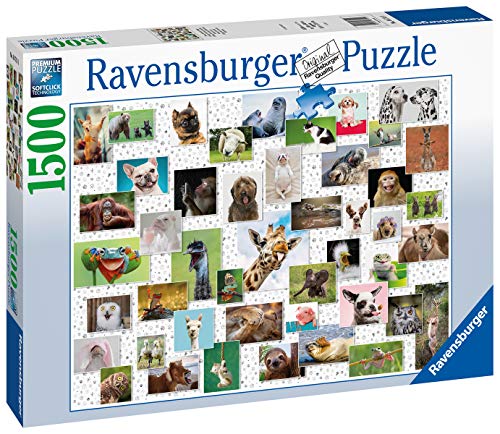Ravensburger Funny Animals Collage Di Animali Divertenti Puzzle 1500 Pezzi Relax Puzzles Da Adulti Dimensione 80x60 Cm Stampa Di Alta Qualita Animali 0 0