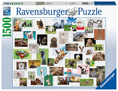Ravensburger Funny Animals Collage Di Animali Divertenti Puzzle 1500 Pezzi Relax Puzzles Da Adulti Dimensione 80x60 Cm Stampa Di Alta Qualita Animali 0