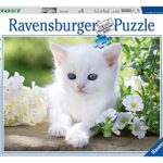 Ravensburger Italy Puzzle 1500 Pezzi Gatto Bianco Gattino Multicolore 16243 7 0