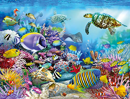 Ravensburger Puzzle 2000 Pezzi Barriera Corallina Collezione Foto E Paesaggi Jigsaw Puzzle Per Adulti Puzzles Ravensburger Stampa Di Alta Qualita Dimensione Puzzle 98x75cm 0 0