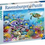 Ravensburger Puzzle 2000 Pezzi Barriera Corallina Collezione Foto E Paesaggi Jigsaw Puzzle Per Adulti Puzzles Ravensburger Stampa Di Alta Qualita Dimensione Puzzle 98x75cm 0