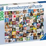 Ravensburger Puzzle Animali 99 Gatti Puzzle 1500 Pezzi Relax Puzzles Da Adulti Dimensione 80x60 Cm Stampa Di Alta Qualita Animali Cuccioli Collage 0 0