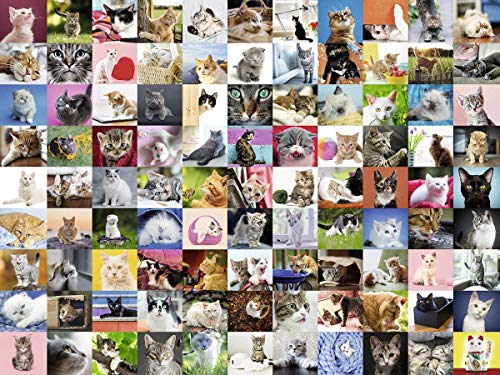 Ravensburger Puzzle Animali 99 Gatti Puzzle 1500 Pezzi Relax Puzzles Da Adulti Dimensione 80x60 Cm Stampa Di Alta Qualita Animali Cuccioli Collage 0 1