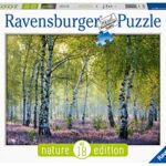Ravensburger Puzzle Puzzle 1000 Pezzi Bosco Di Betulle Puzzle Per Adulti Nature Edition Puzzle Paesaggi Puzzle Ravensburger Stampa Di Alta Qualita 0