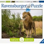 Ravensburger Puzzle Puzzle 1000 Pezzi Leone In Africa Puzzle Per Adulti Nature Edition Puzzle Paesaggi Puzzle Ravensburger Stampa Di Alta Qualita 0
