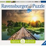 Ravensburger Puzzle Puzzle 1000 Pezzi Luce Mistica Puzzle Per Adulti Nature Edition Puzzle Paesaggi Puzzle Ravensburger Stampa Di Alta Qualita 0