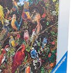 Ravensburger Puzzle Puzzle 1000 Pezzi Uccelli Colorati Puzzle Per Adulti Puzzle Animali Puzzle Ravensburger Stampa Di Alta Qualita 0 1