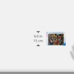 Ravensburger Puzzle Puzzle 1000 Pezzi Uccelli Colorati Puzzle Per Adulti Puzzle Animali Puzzle Ravensburger Stampa Di Alta Qualita 0 2