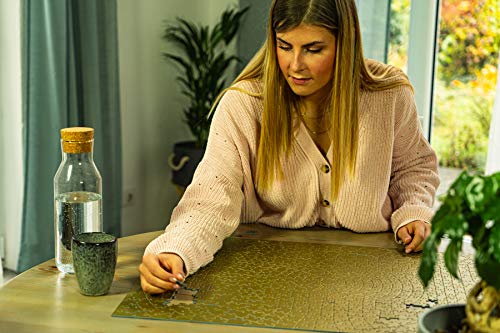 Ravensburger Puzzle Puzzle Krypt 631 Pezzi Puzzle Per Adulti Puzzle Oro Monocromo A Spirale Puzzle Impossibili Puzzle Ravensburger Stampa Di Alta Qualita 0 1