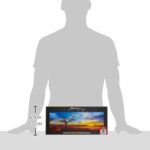 Schmidt Mark Gray Puzzle Tematica Desert Oak At Sunset Northern Territory Australia 1000 Pezzi 0 1