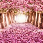 Superpower Spring Cherry Trees Forest Landscape Romantic Pink Sakura Avenue 1000 Pezzi Giocattoli Per Adulti In Legno Dipinto Ad Olio Puzzle Con Finitura 762 X 508 Cm 0