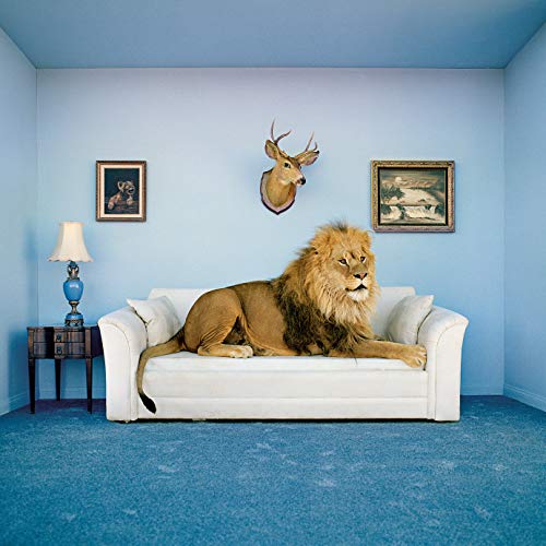 Clementoni Puzzle Frame Me Up Master Of The House 250 Pezzi Multicolore 38500 0 0